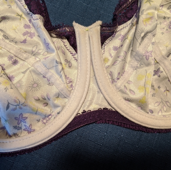 Freya Clarissa Bra - Picture 12 of 15